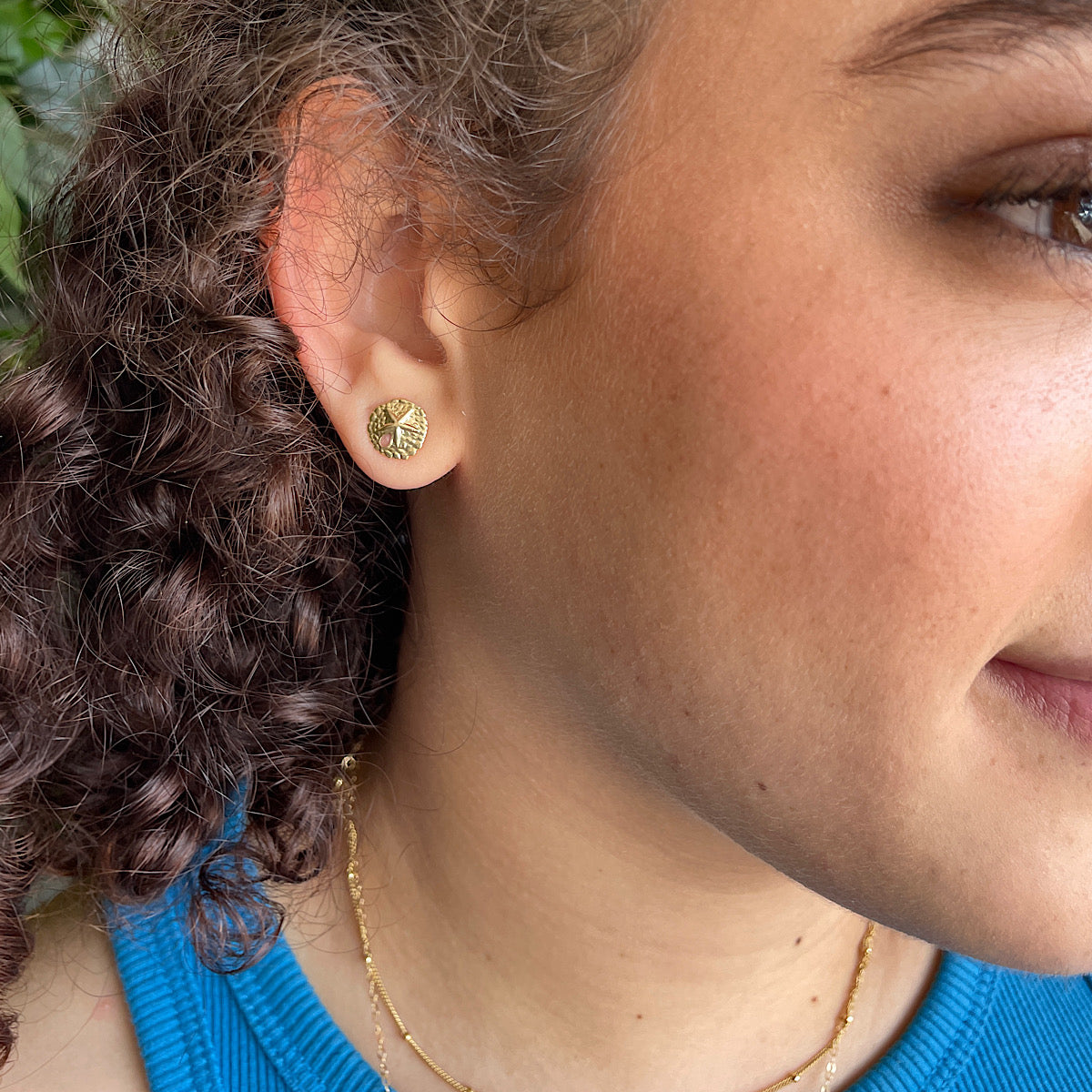 Sand Dollar Stud Earrings