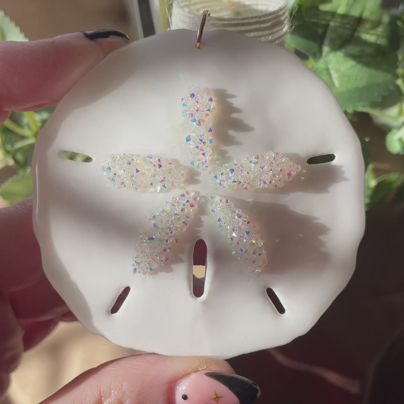 Sand Dollar Ornament